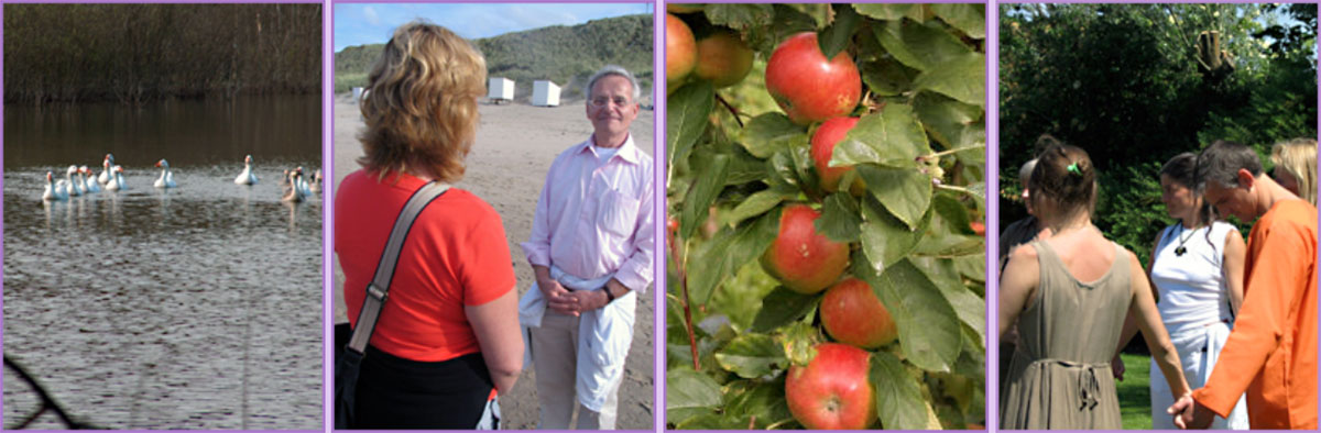 Sturkenboom Coaching